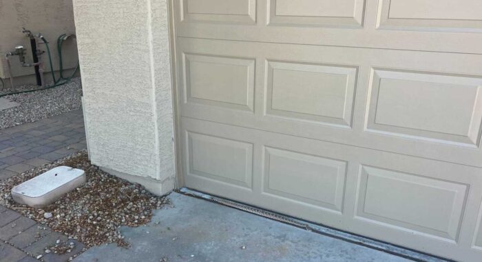 Rattlesnake Seeking A Garage