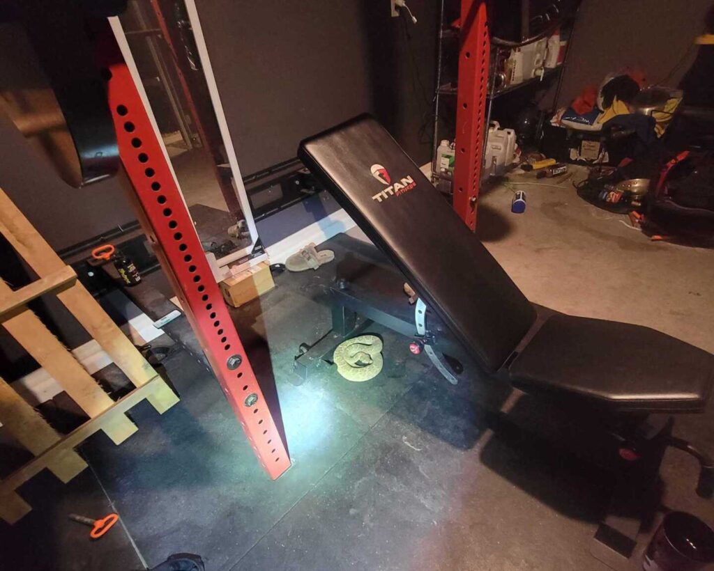 Rattlesnake In A Gym