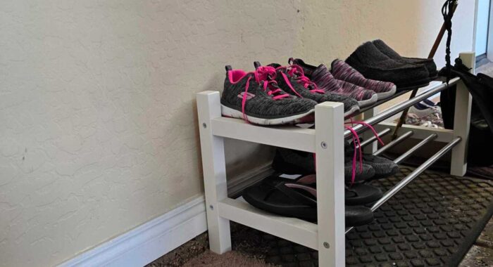 Little Garage Rattlesnake