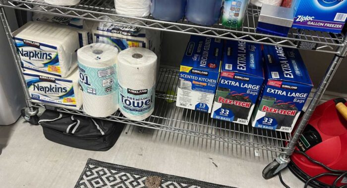 Baby Rattlesnake In The Garage In Peoria