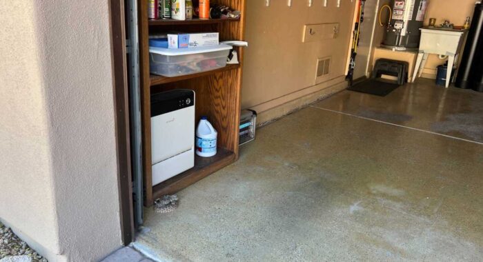 Rattlesnake in a Garage