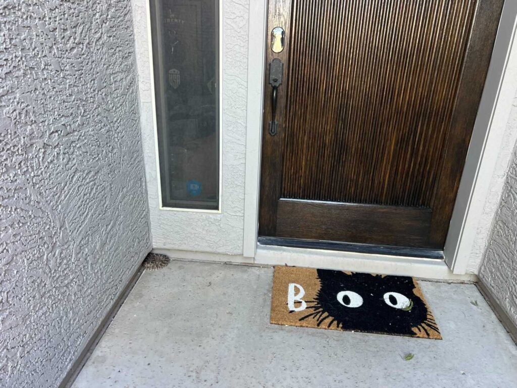 Rattlesnake Next to the Front Door