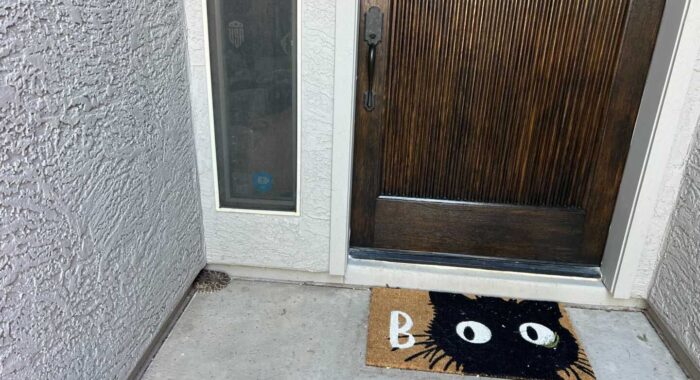 Rattlesnake Next to the Front Door