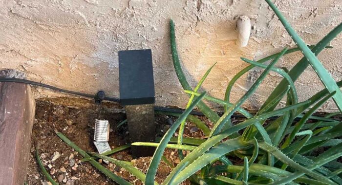 Rattlesnake Hibernating by the Door