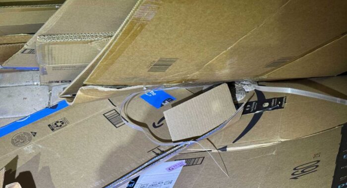 Rattlesnake Hiding in Recycling