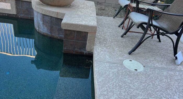 Baby Western Diamondback rescued from Scottsdale pool after slipping in for a drink
