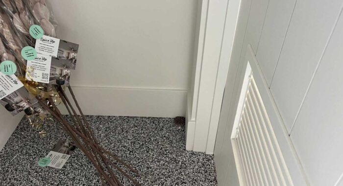 Two baby Western Diamondbacks found sharing a Scottsdale garage during home sale prep