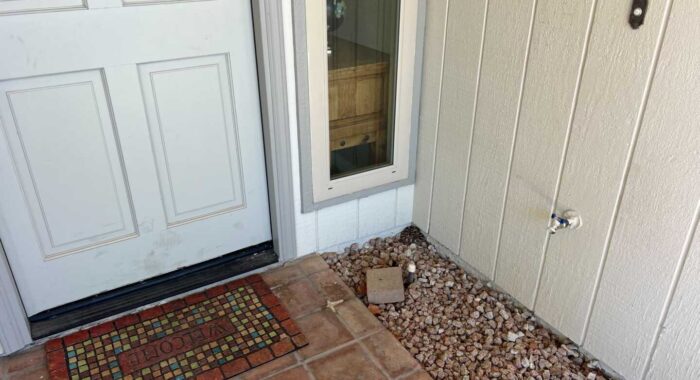 Small Rattlesnake By The Door