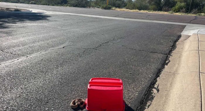 Cave Creek homeowner found a rattlesnake by his yucca and in the road