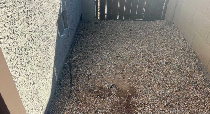 Rattlesnake Under Trash Can