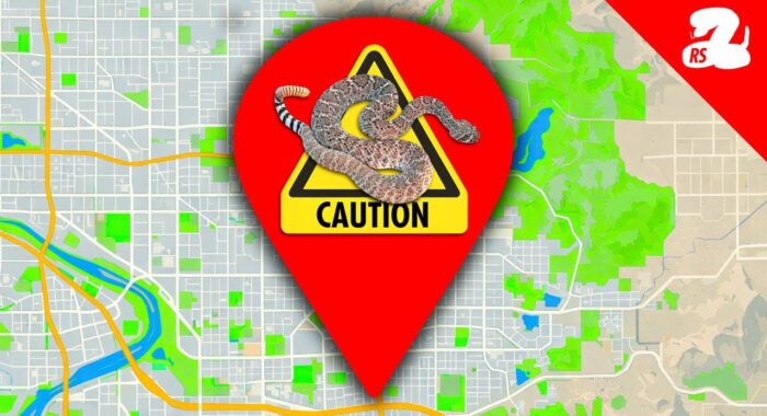 These Neighborhoods Have the MOST Rattlesnakes