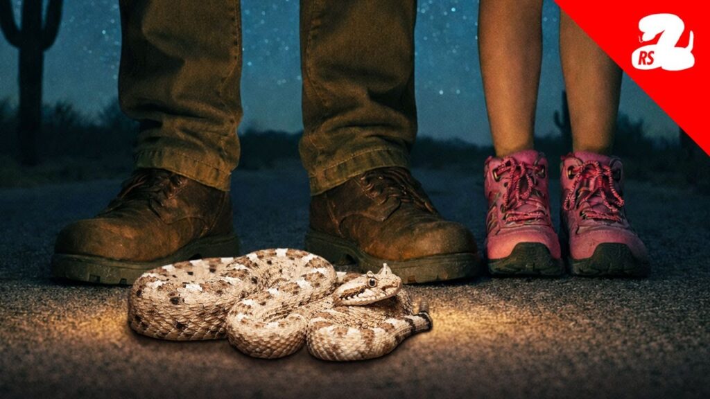 Chasing Rattlesnakes All Night with My Daughter