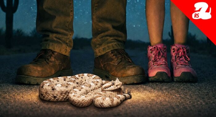 Chasing Rattlesnakes All Night with My Daughter