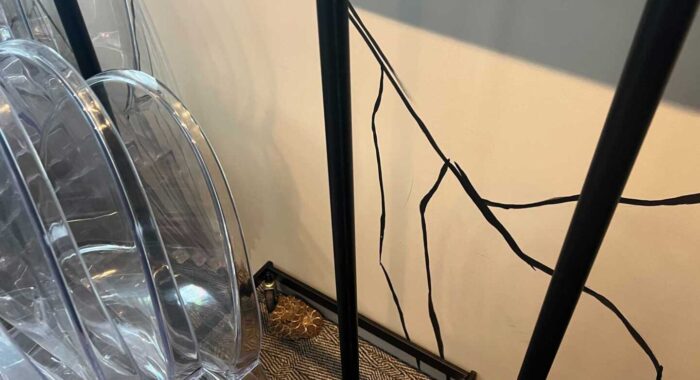 Rattlesnake Caught in a Garage