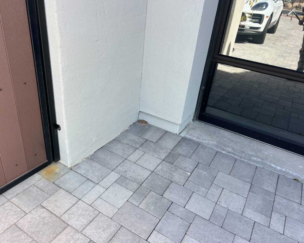 Rattlesnake Removal in Carefree Arizona