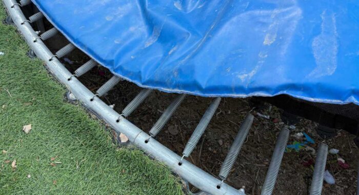 Rattlesnake Under the Trampoline