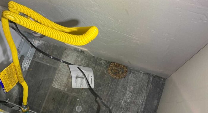 Rattlesnake Sounds Like a Gas Leak