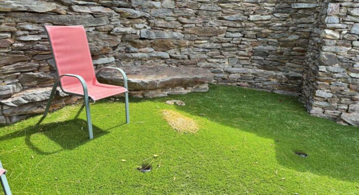 Rattlesnake in the Lawn