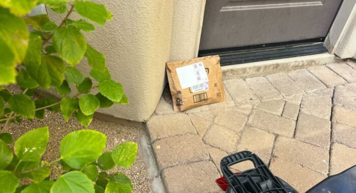 Rattlesnake Under a Package