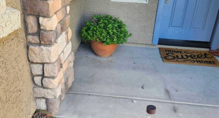 Gila Monster Relocation in Marana