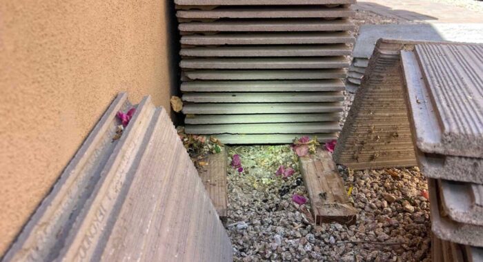 Western Diamondback Beneath Bricks