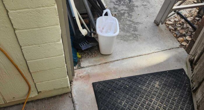Rattlesnake on the Patio