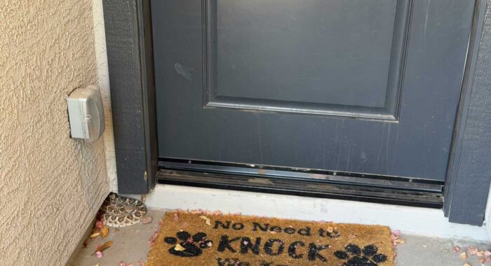 Rattlesnakes Not Welcome