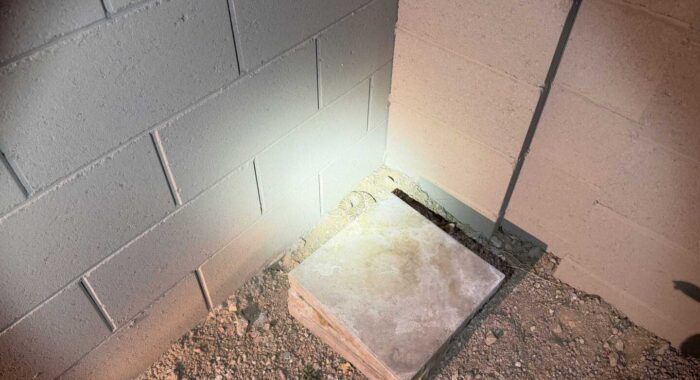 Western Diamondback Rattlesnake Makes a Surprise Return in Laveen