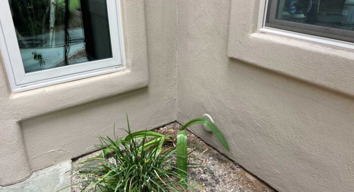 Western Diamondback Rattlesnake Found After Family Dog Was Bitten
