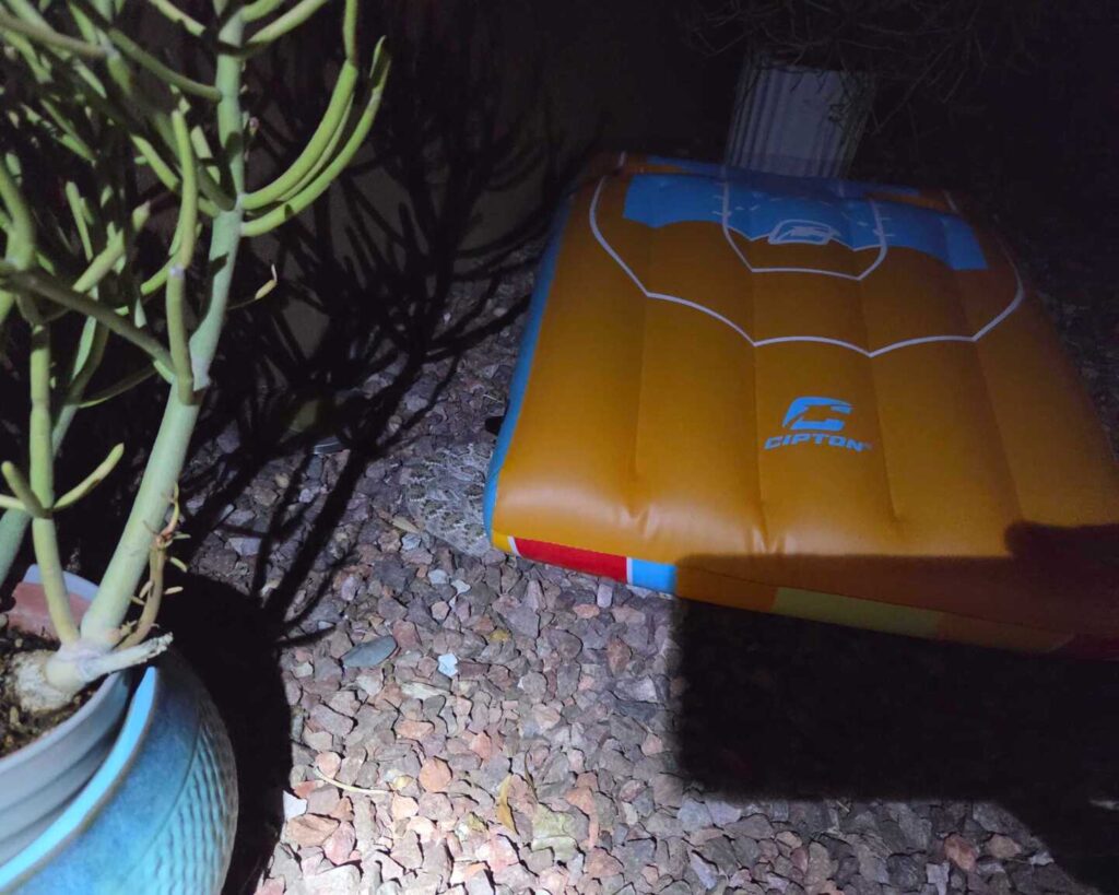 Finding a Western Diamondback Under a Pool Raft Finding a Western Diamondback Under a Pool Raft