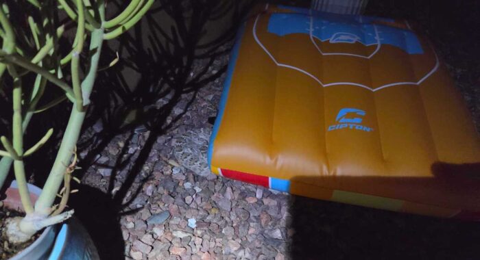 Finding a Western Diamondback Under a Pool Raft