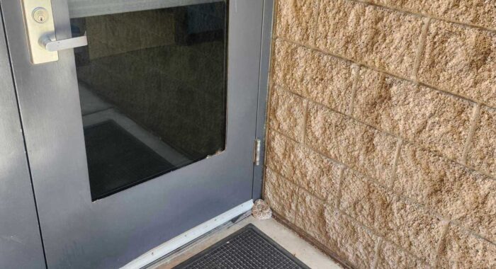 Rattlesnake by the Gym Doors