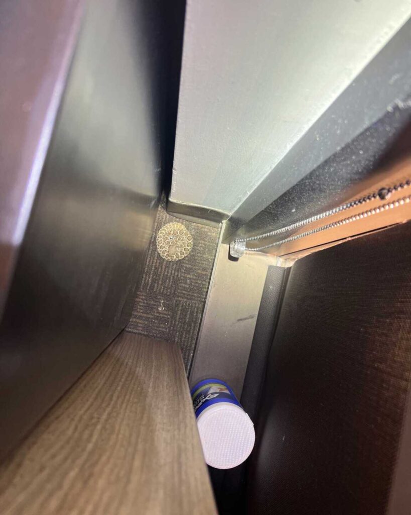 A Baby Rattlesnake Spends the Night in a Scottsdale Office A Baby Rattlesnake Spends the Night in a Scottsdale Office